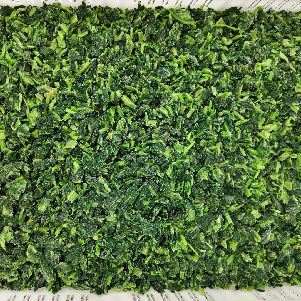 سعر الجملة خضار سبانخ مجمدة مقطعة على شكل مكعبات أو كرات طازجة ومقطوفة وحاصلة على شهادة حلال بسعر جيد