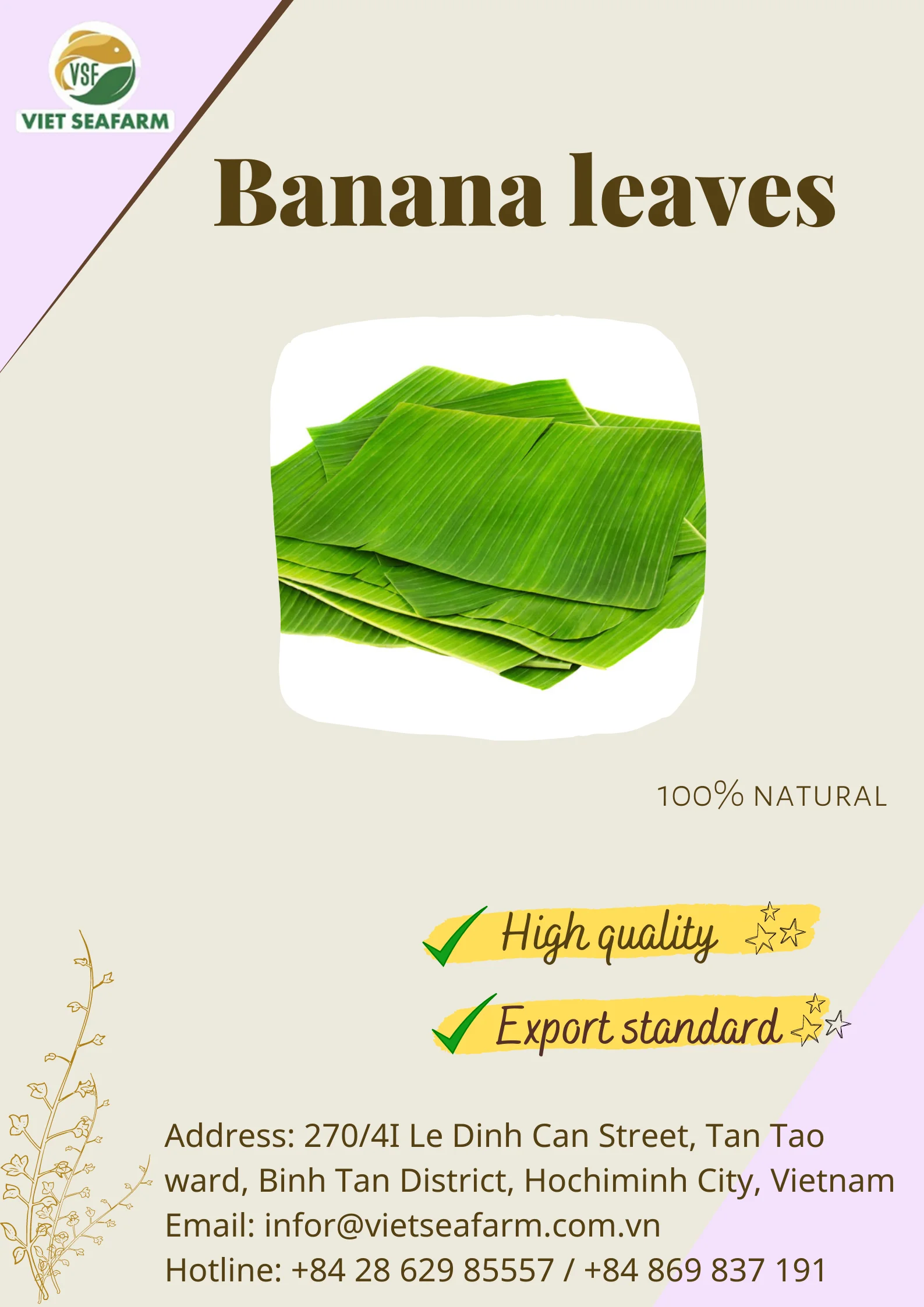 Banana Leaves Great Quality Fresh Banana Leaf 100 Natural High Quality