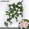 Colgante de pared de vid fragante de diez millas - Rosa claro