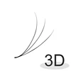 3D