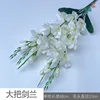 Large bunch of gladiolus YM white