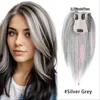 Silver Gray