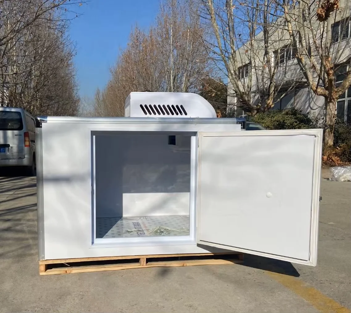 Lemon Cold Storage Refrigerated Frozen Electrical Freezer Cold Chain Delivery Cargo Mobile  Ice Cream Food Storage Refrigerator