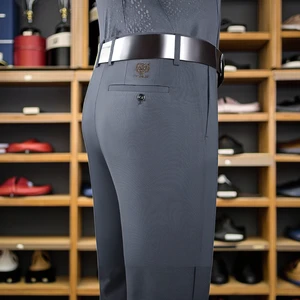 OEM ODM Men's High-End Worsted Anti-Pilling Trousers Casual Business Style Lightweight Straight Mid-Waist Flats Summer New