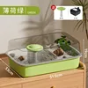 Mint Green [Pet Hermit Crab] Comes with a Fountain Pump