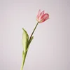 Rosa claro