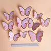 10 pz gradiente farfalla 04