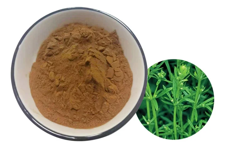 Galium Aparine Extract powder