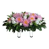 Pink chrysanthemum