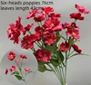 Amapola de seis cabezas