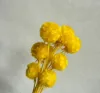 สีเหลือง