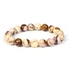 Australian Zebra Jasper