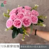 12 new rose FY pink heads