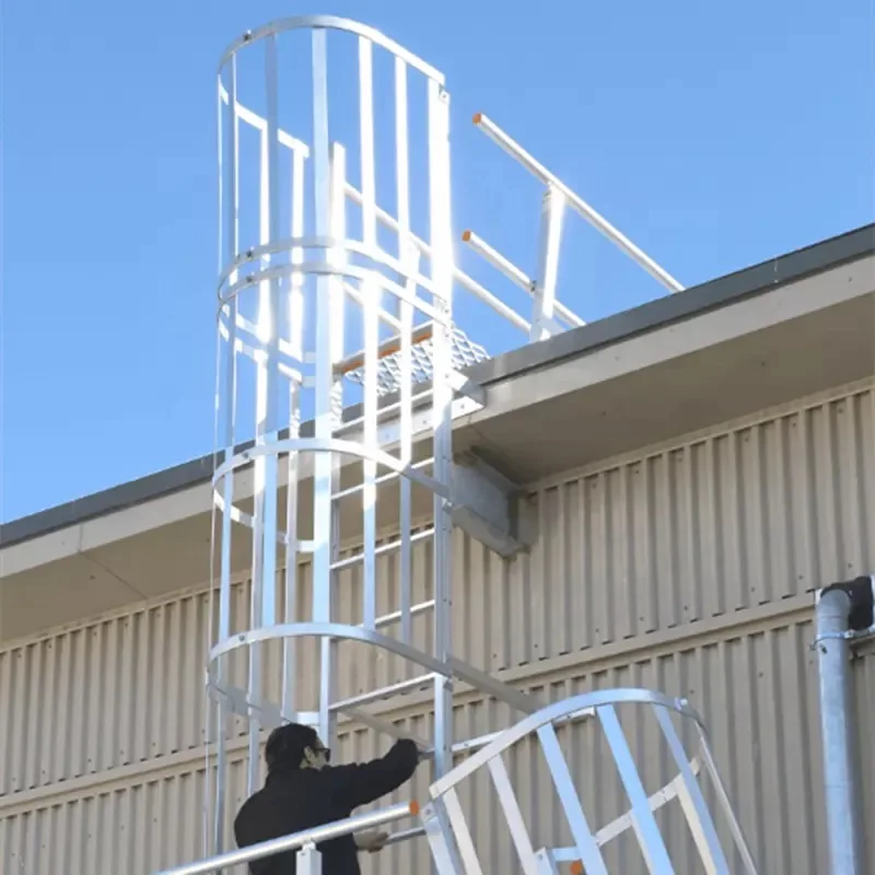 Building Material Wall Climb Ladder with Safety Cage Step Vertical Caged Ladder for Worksite Safety