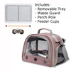 Pink (with feeder cup)