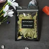 Foglia di ginkgo