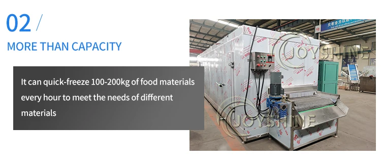 Blast Freezer, 220V, -40° - detail 14