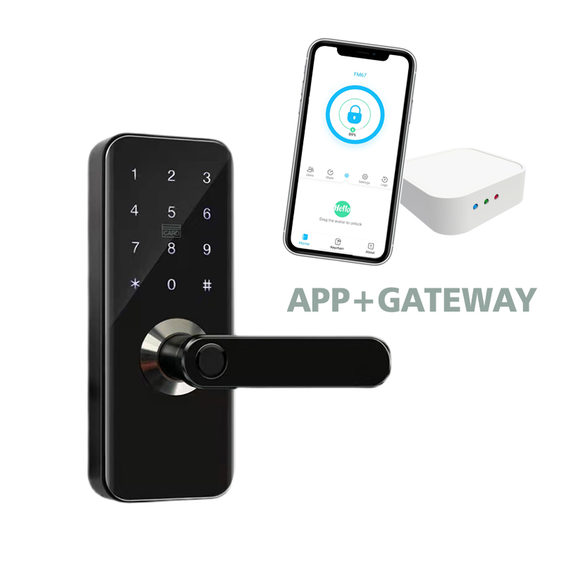 Лидер продаж, Водонепроницаемый дверной смарт-замок с приложением, биометрический замок с отпечатком пальца, дверная ручка, цифровой БЕСКЛЮЧЕВОЙ замок