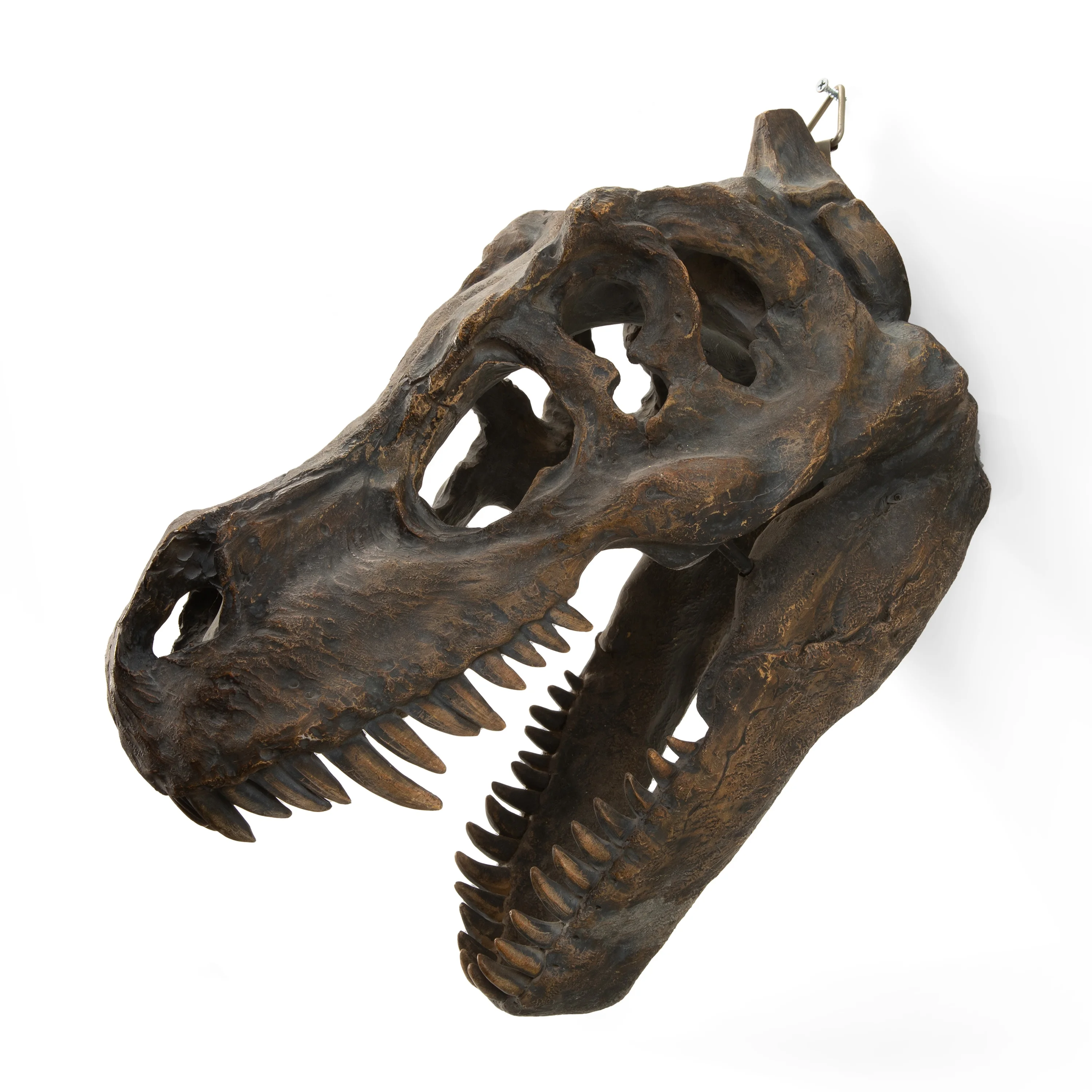 NEW Resin Dinosaur Skull Model Simulated Animal Skeleton Home Office