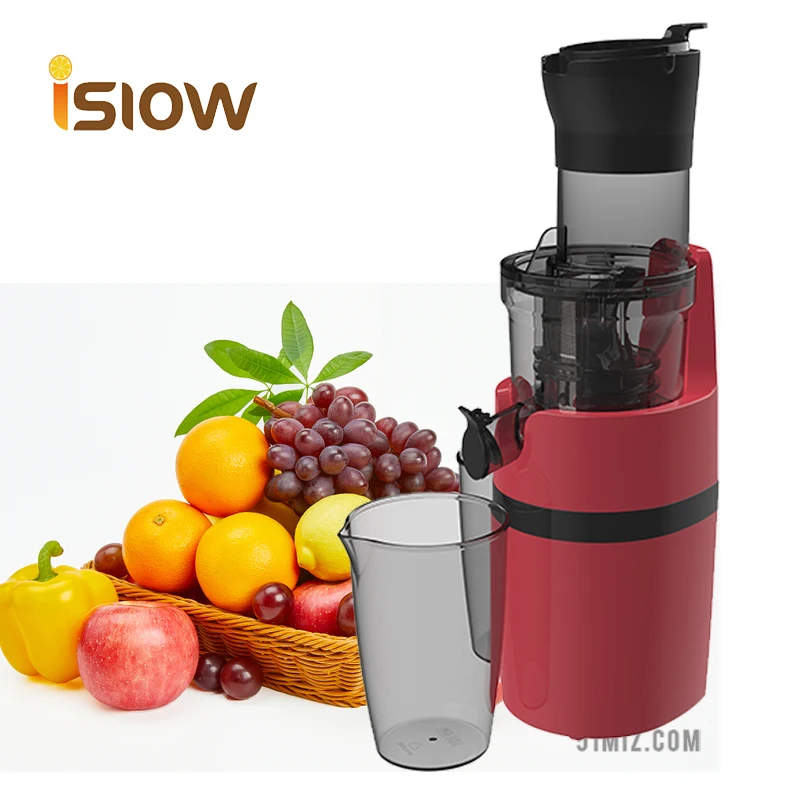 Nutriplus Relance Slow Juicer Best Seller Carrot Masticating Fruit