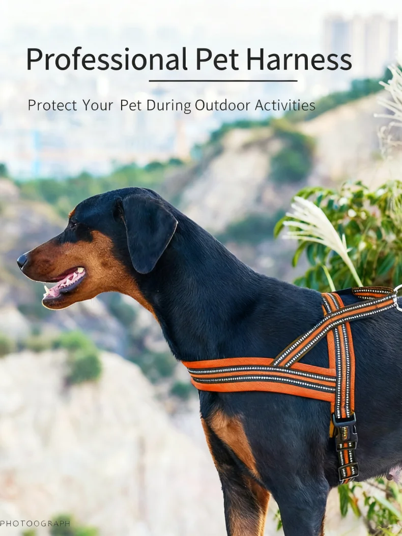Explosion-Proof Spike Pet Chest Strap Sport Fashion Universal Reflective Easy Wear Gun Shaped Strap Nylon Towing Rope Medium