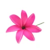 PRF-231 H.rose