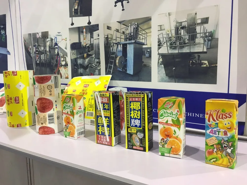 Special Shape Juice Box Pack with Screw Cap