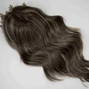 Brown Highlight 4