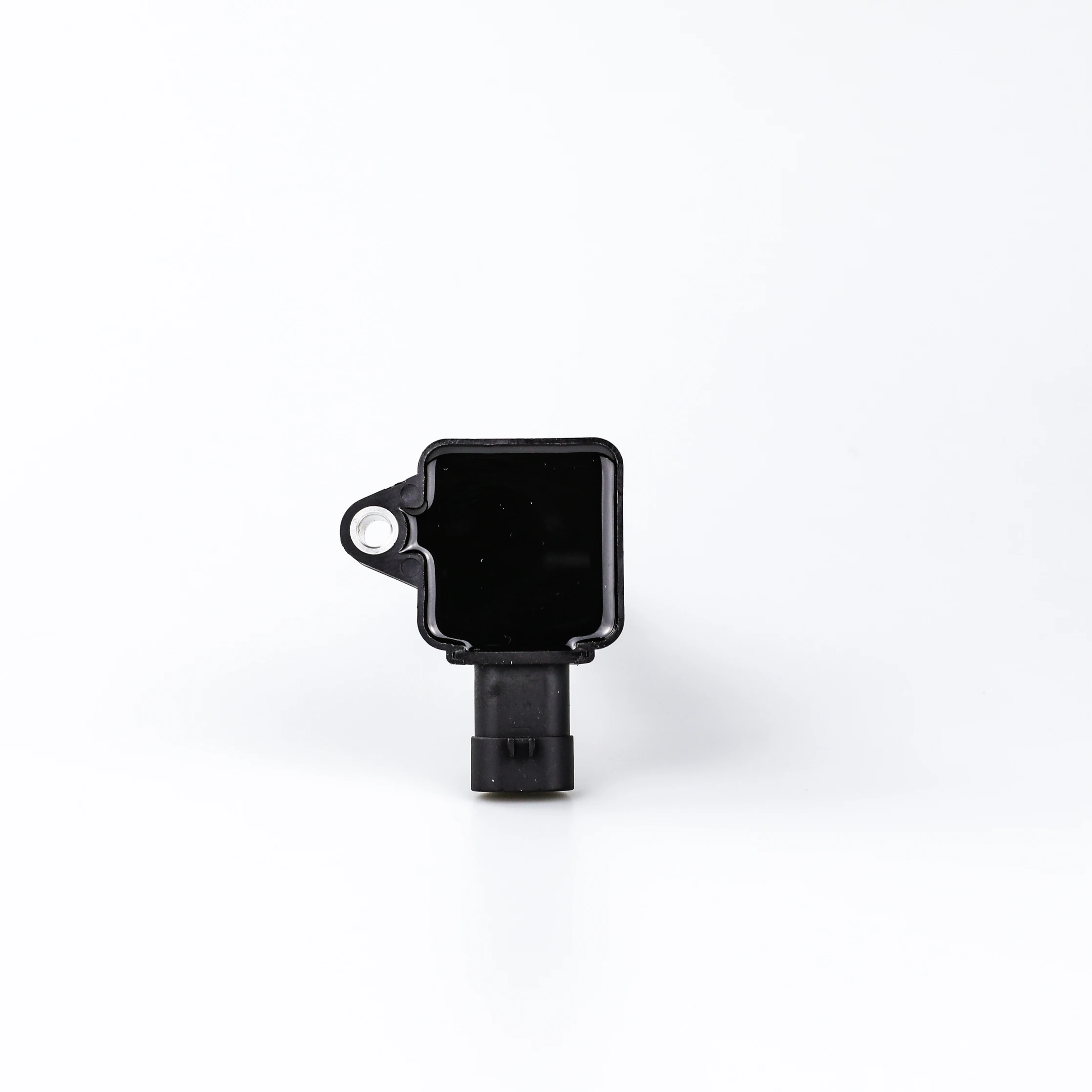 Ignition Coil - F01R00A095