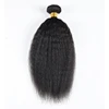 Fascio di capelli 1b# Liscio crespo
