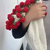 Rosa roja con manta blanca.