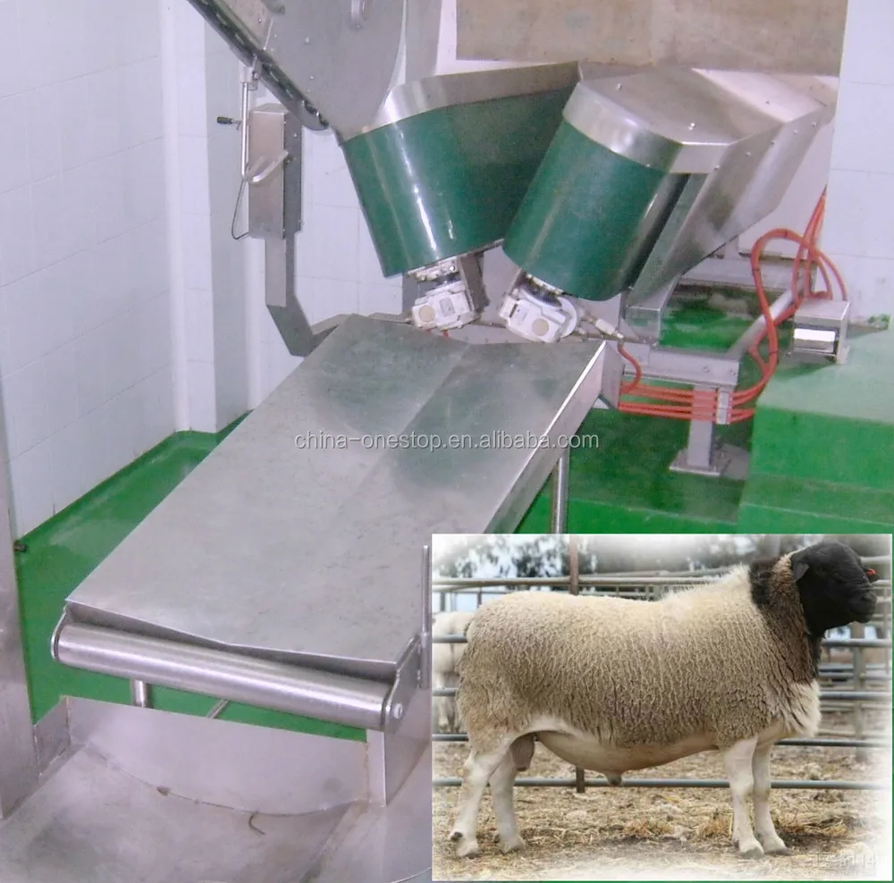 Automatic High Efficiency Complete Sheep and Goat Slaughtering Line Halal Abattoir Equipment for Large Scale Slaughterhouse