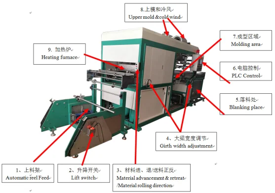 Seeding Tray Molding Machine