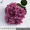 Paquete de 5 cabezas de hortensia copo de nieve WY Autumn Purple