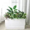 Q04 does not include flower box