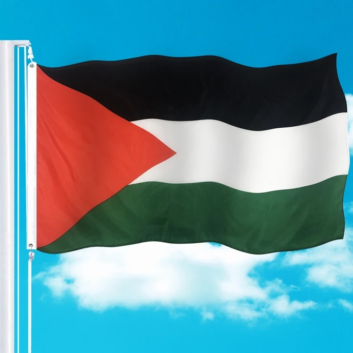 johnin usine promotion impression par sublimation 100% polyester satin palestine  drapeau écharpe