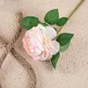 Rose2