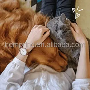 Multifunctional Dog Supplements for Dogs Omega369 Fish Oil with Antioxidants and Vitamins for Skin Heart Health