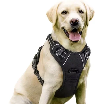 FishPrincess Custom Pet Harness and Leash Breathable Luxury Vest Style for Dogs Small Size for Walking