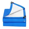 Blue/White