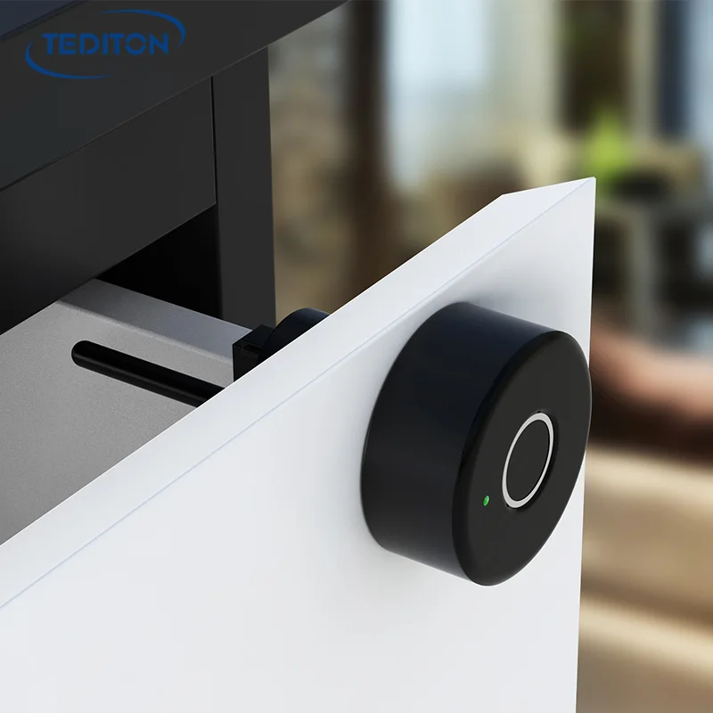 Tediton Tuya App Smart Cabinet Biometric Locks for Lockers Fingerprint Locker Lock With Usb Charging Black