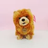 Wulula - chow chow