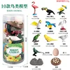 [OX-025E] Bird 10 barrel