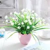 Baby's breath, Milan flower, white