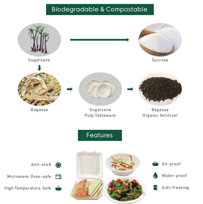 Harvest EG-1.5 Biodegradable Compostable Fiber Pulp To Go Sushi Box