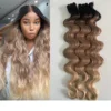 Couleur ombrée