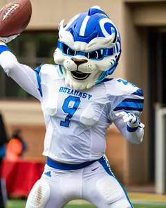 Shengye Funny Football Cartoon Character Custom Adult Size Mascot Plush Animal Lion Mascot Costume for Sports Team Advertising