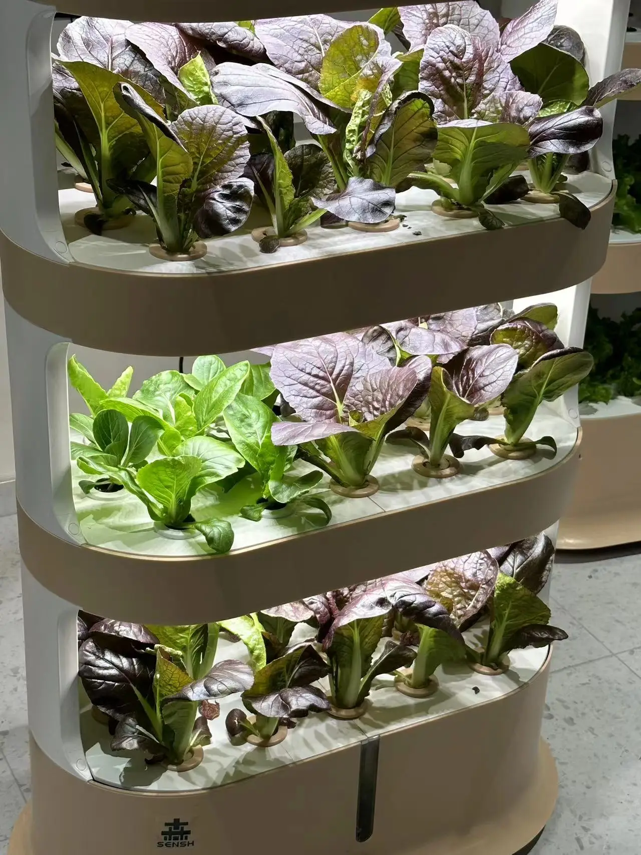 Photo inspiration: Fresh Look at Indoor Hydroponic System