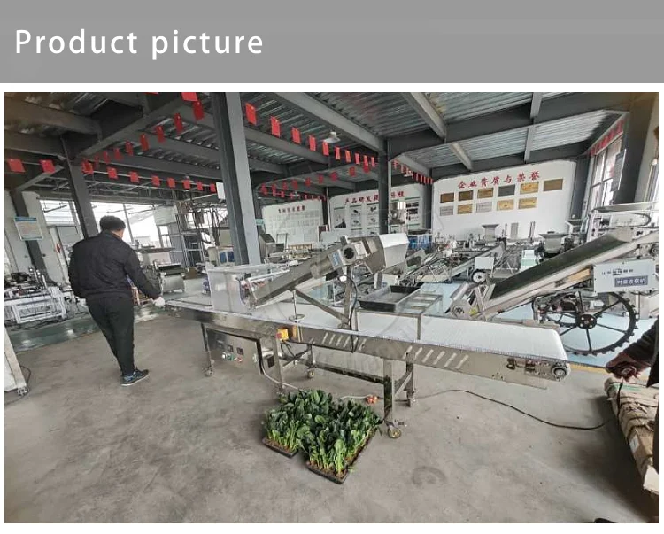 Quick-Cut Greens Harvester Automated Microgreen Tray Seeding Machine Microgreen Tray Harvesting Machine with Conveyor Belt