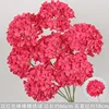 Rama de hortensia con piruleta rojo rosado.